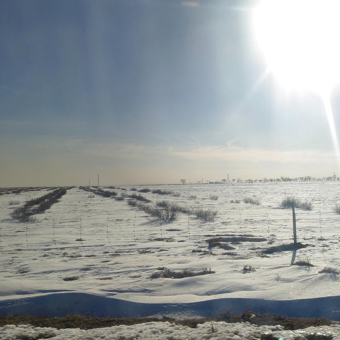 中百仓储mhg直播号