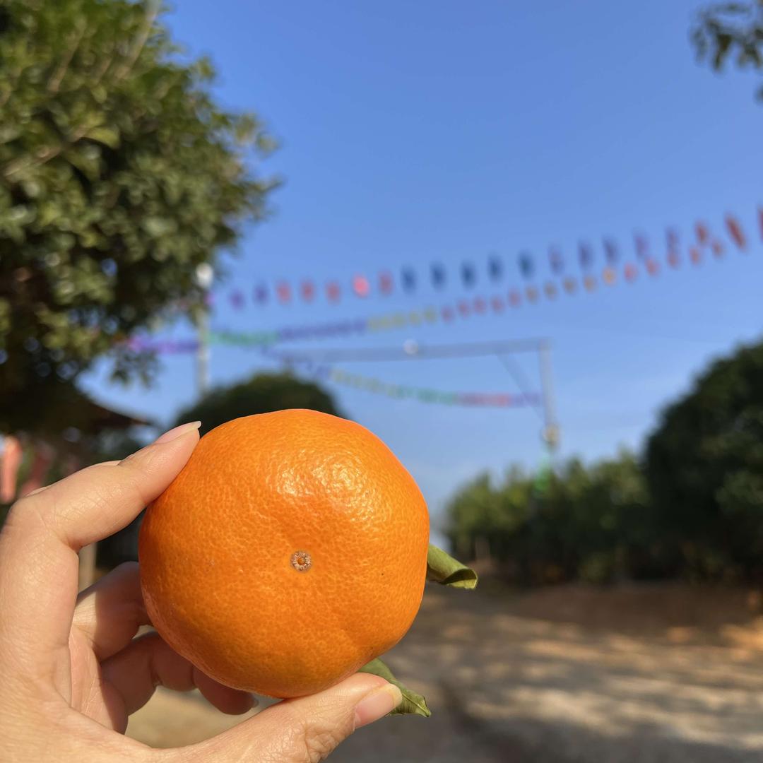 张氏双翼生态农场官方号