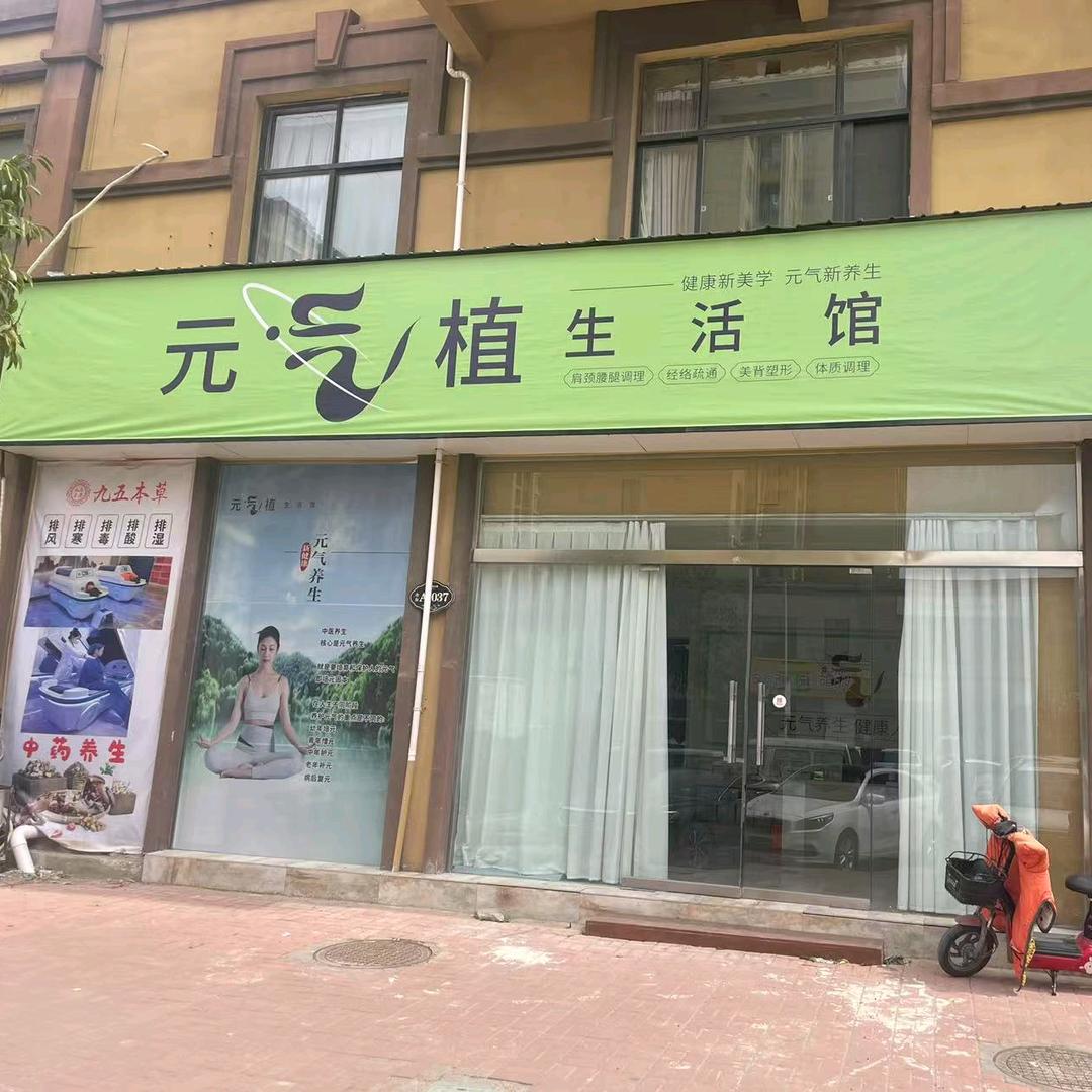 元气养生张美英