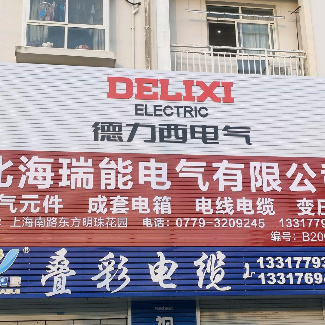 瑞能电科