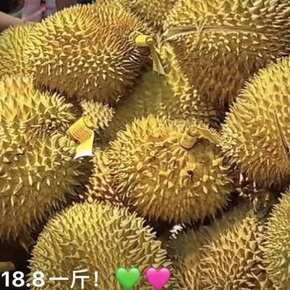 榴莲专佳（万达店）