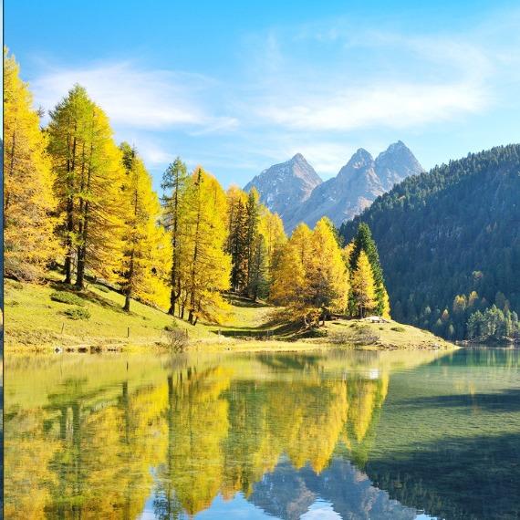 智通广告浩宇的直播号