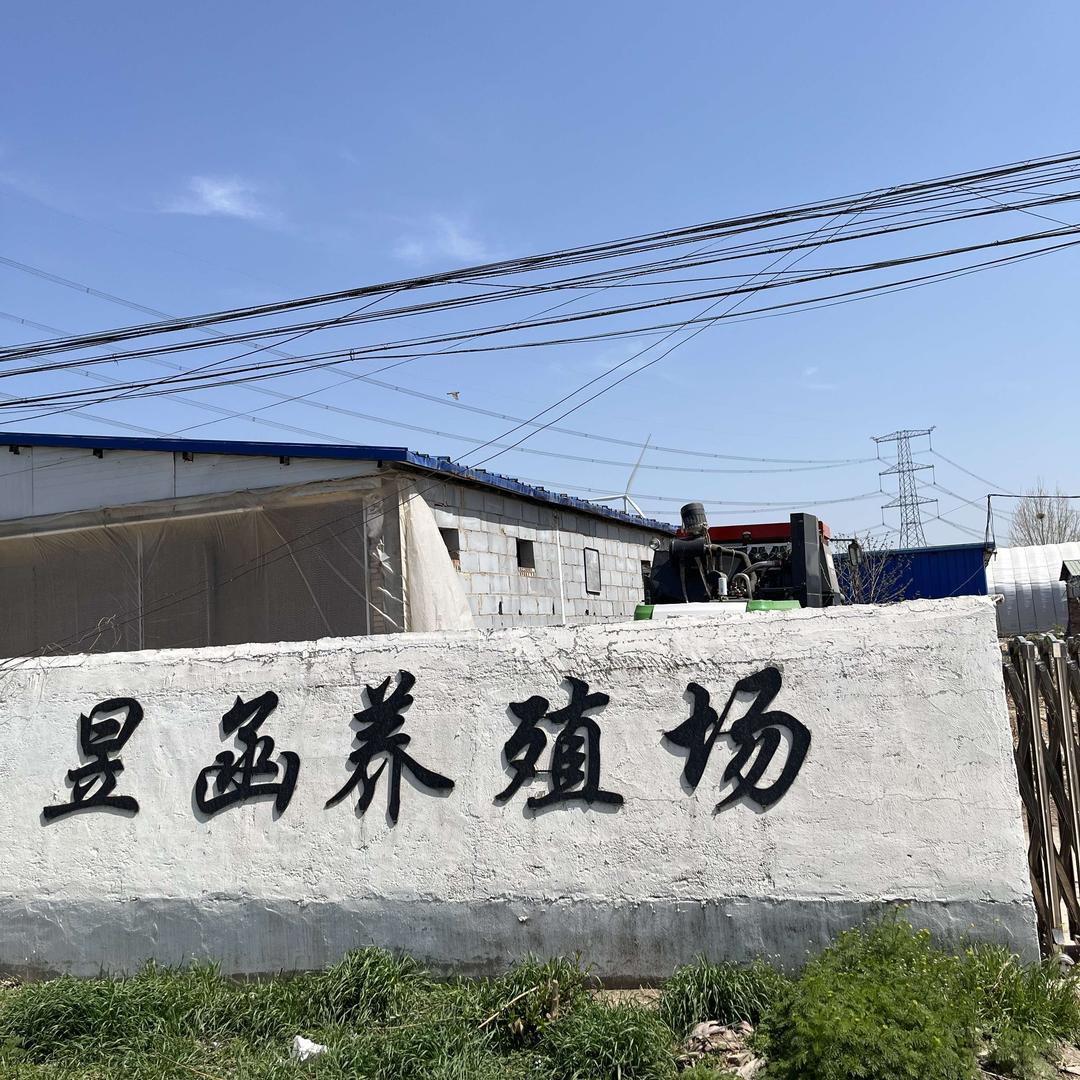 农养星（长寿路）鲜鸡蛋（核销点招募中）