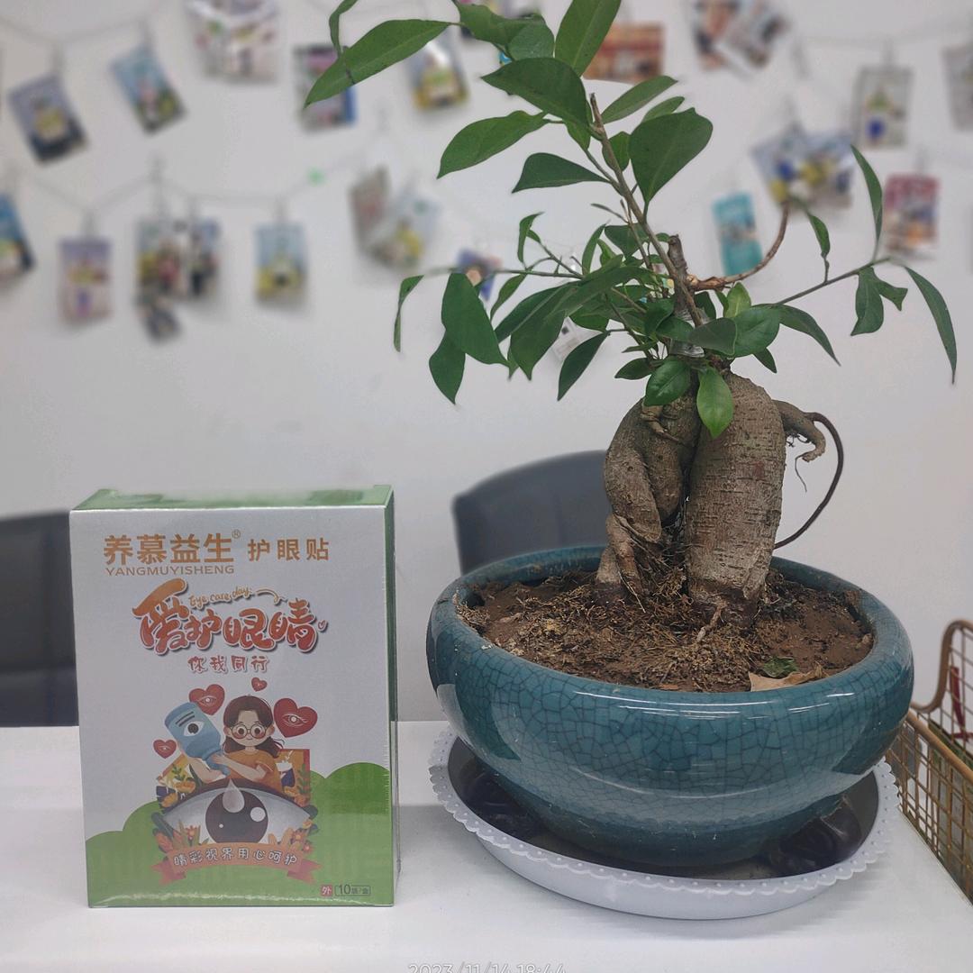 护眼益生店(武安市店)