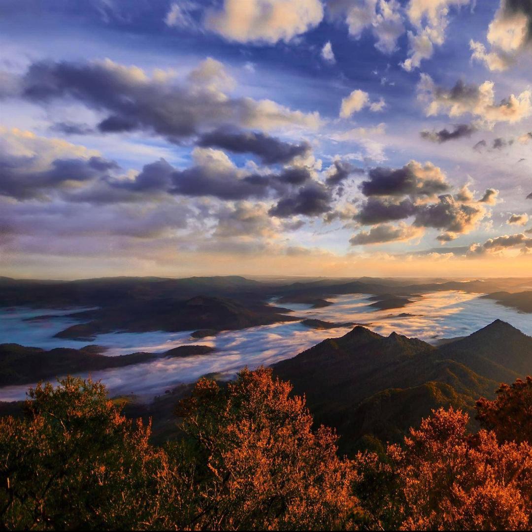 E家便利店(金品名门世家店)亳州市流程