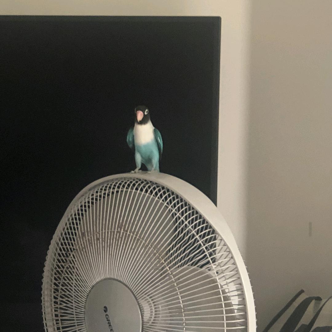 国贸恒兴公寓官方号