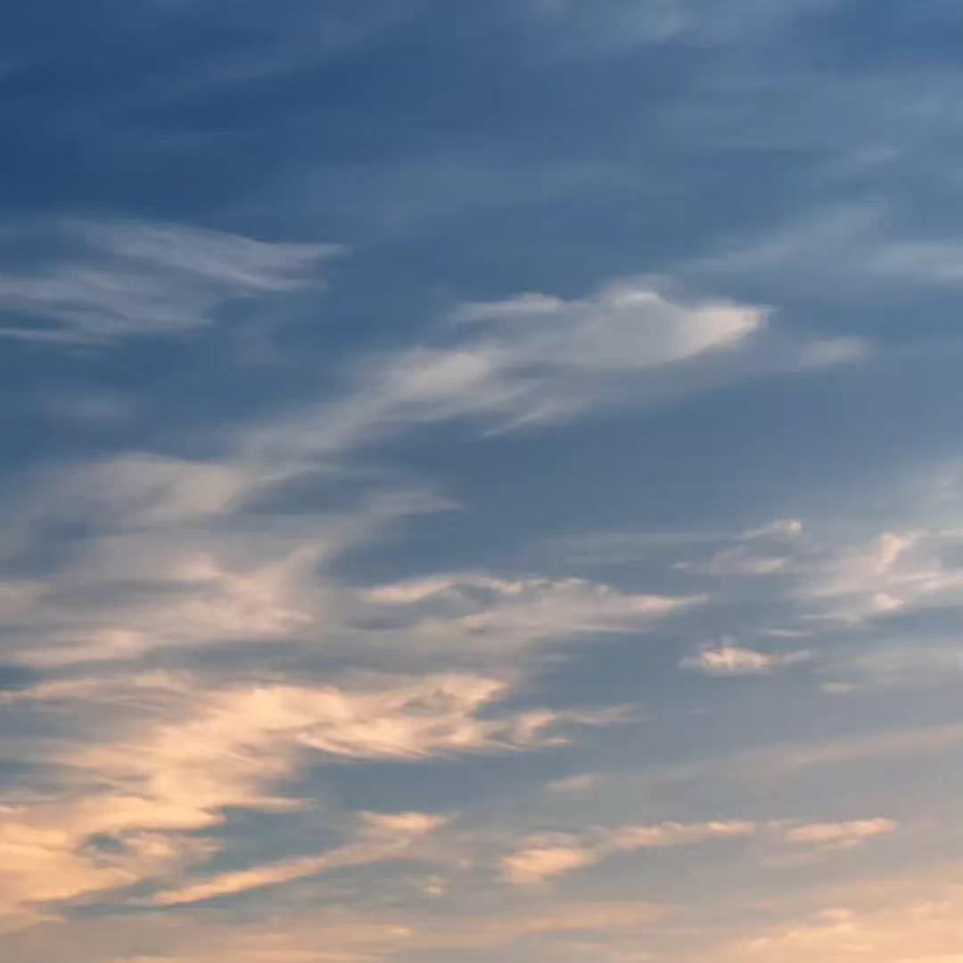 桂珍平价超市桂djadkj直播号