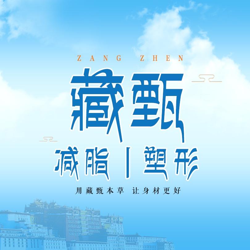 藏甄减脂塑形(观塔路店)
