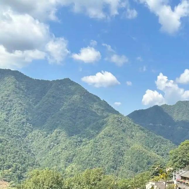 吉宝日常（想家）