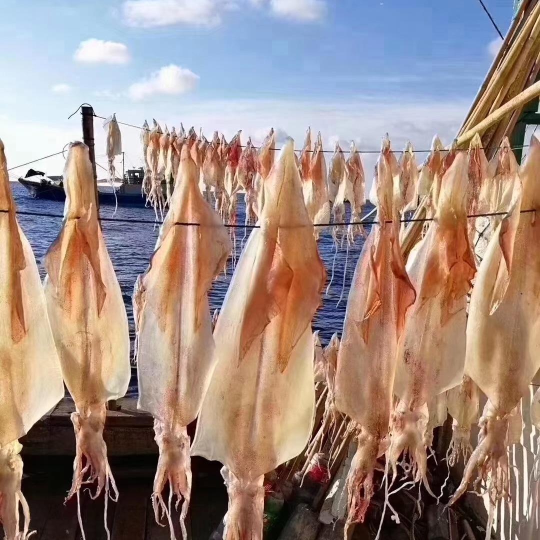 北海鱿鱼干（珩景）