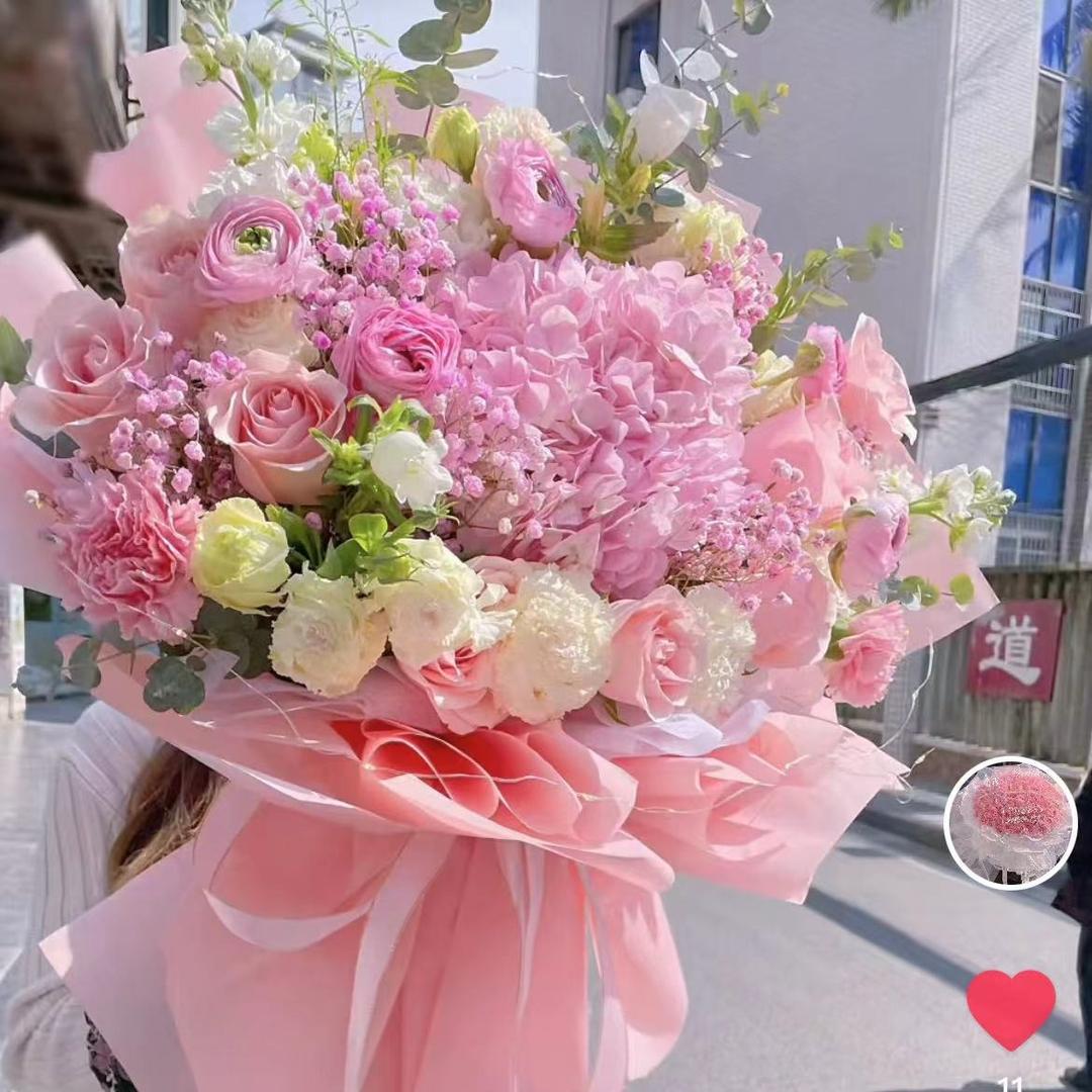 内江勿忘我花卉