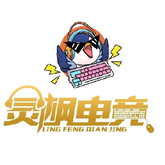 山西灵枫电竞网络服务有限公司