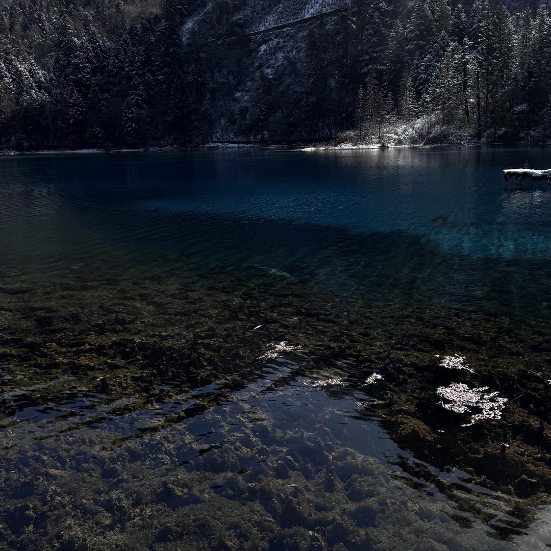 华为合作店(横溪二店)肥肥