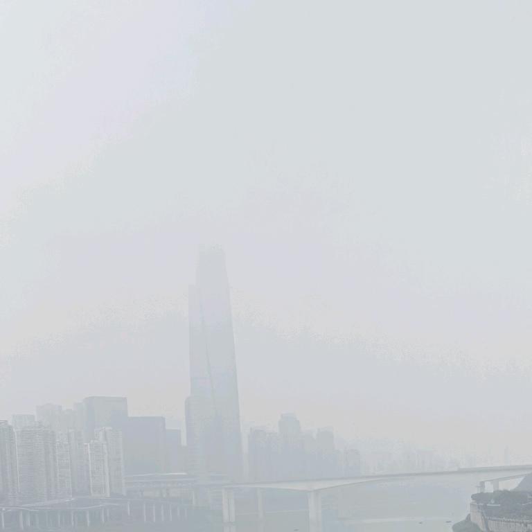 思念成疾直播号