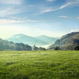 丘比特鲜花店为人日常号