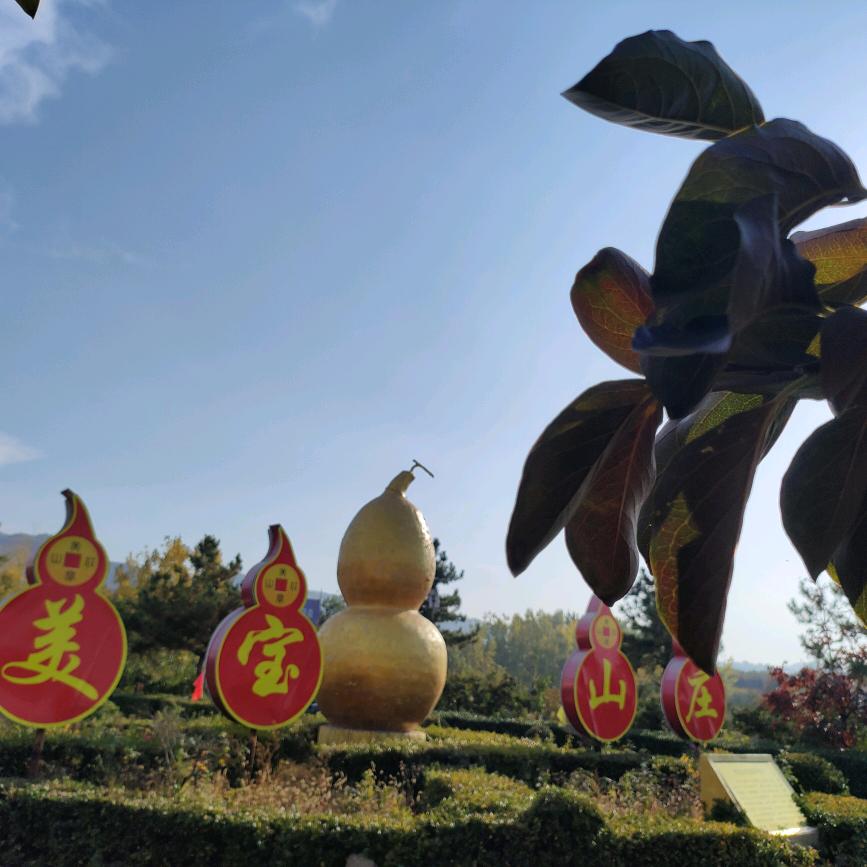 美宝山庄毛导