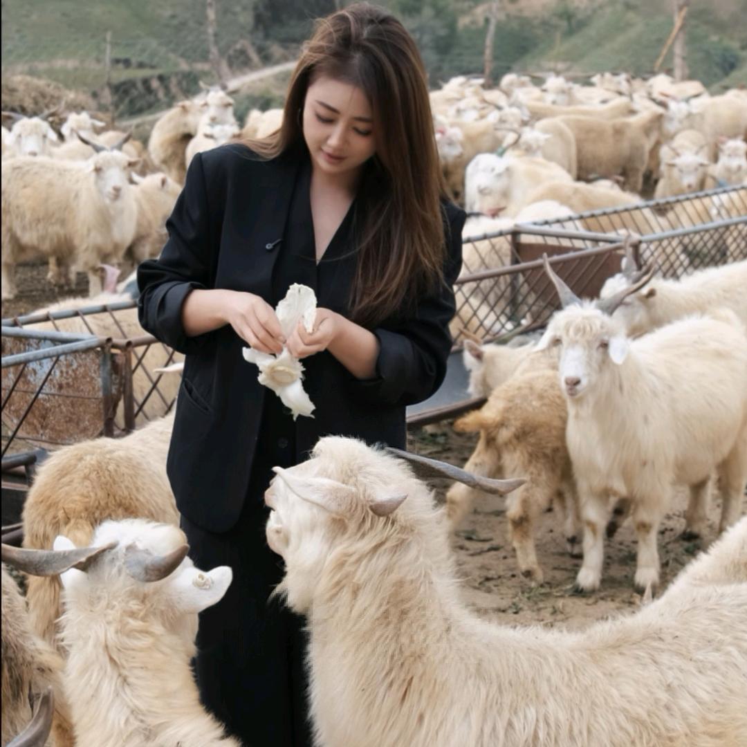 榆林高新区常学学羊肉店