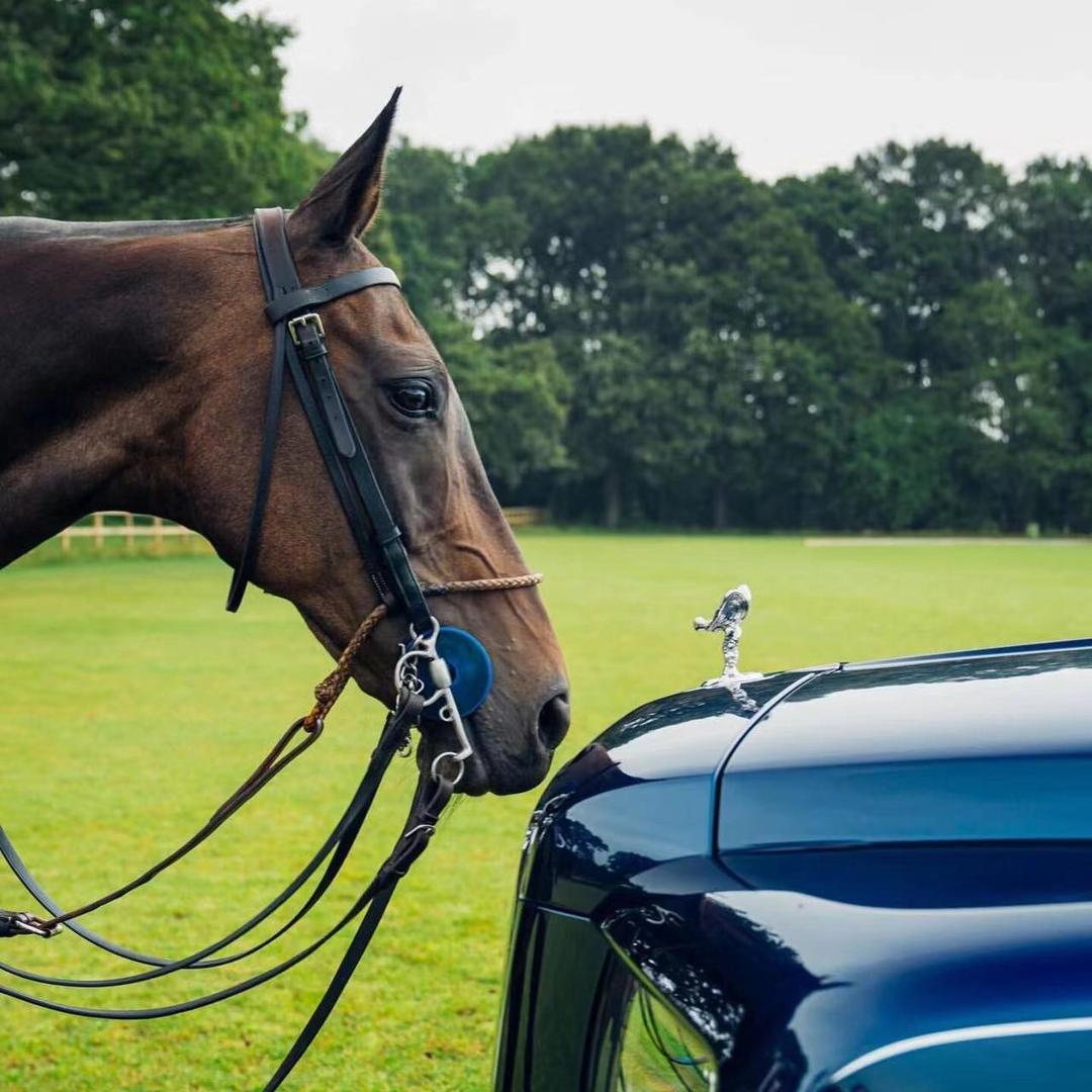 昂毅直播99990号