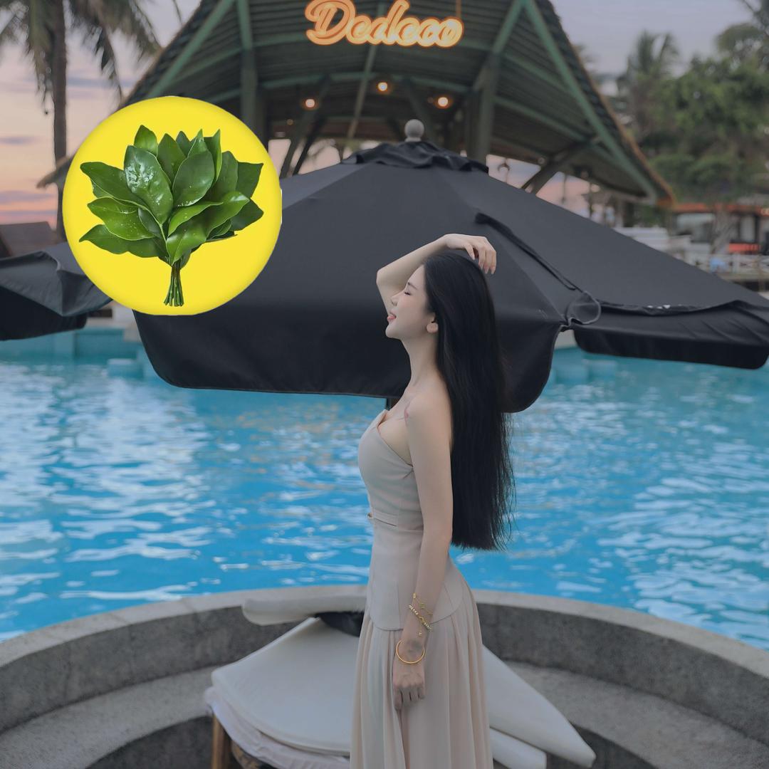 王七七（七美学）