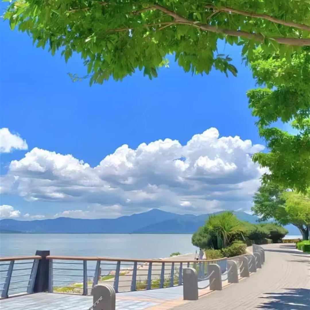 富贵花直播号