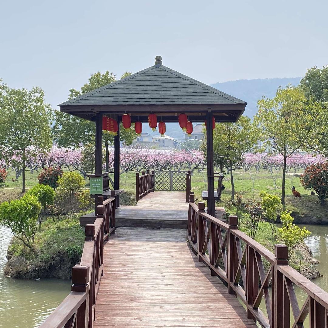 海宁尖山圣欢家庭农场『佳佳』