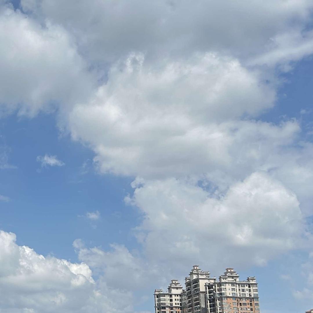 乐坤哥期直播号