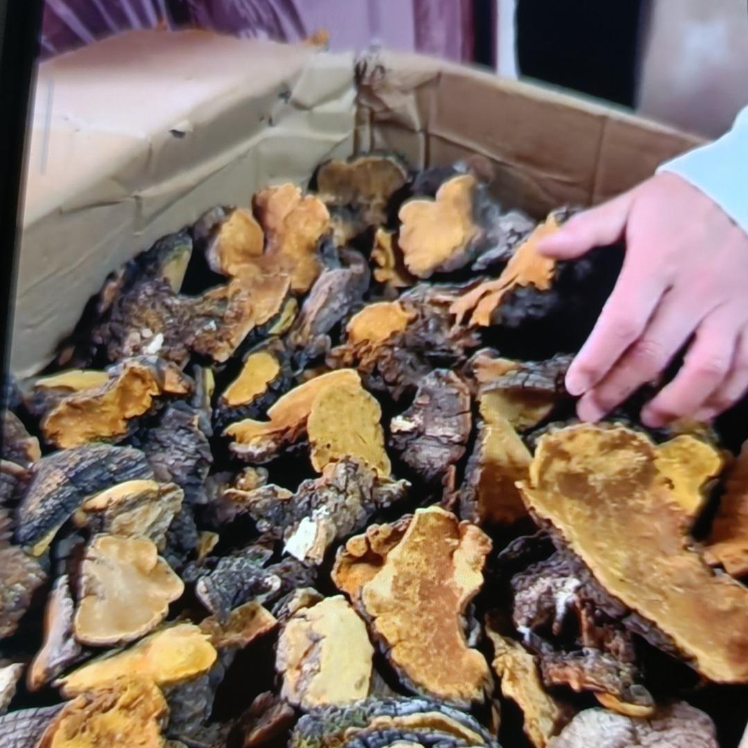 桂大山英运营号