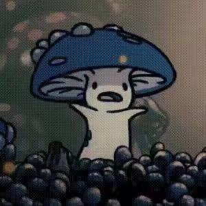 太盈百货太盈百货sa好物直播号