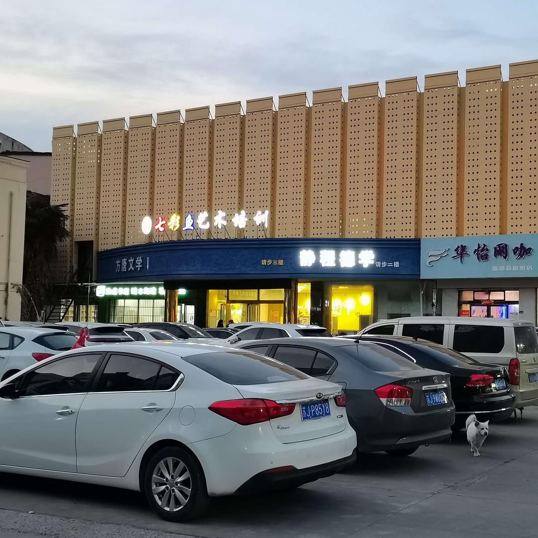 射阳七彩鱼艺术培训季老师