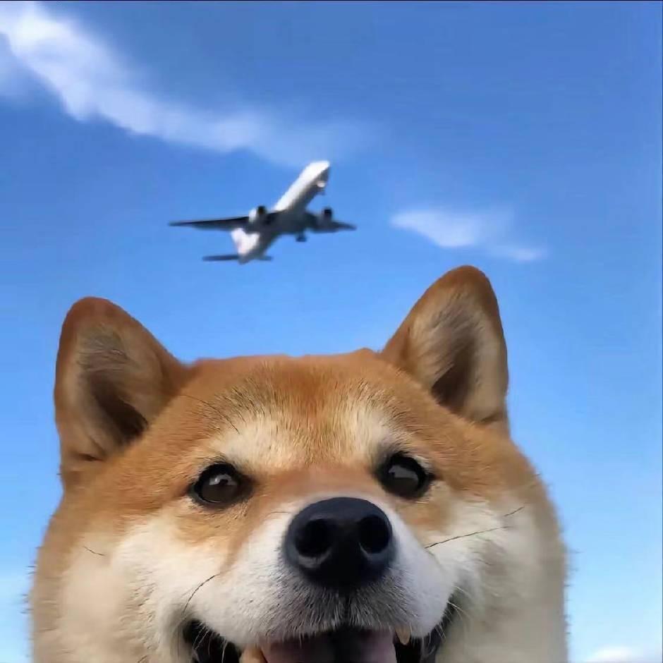 山丁贸易Tuu