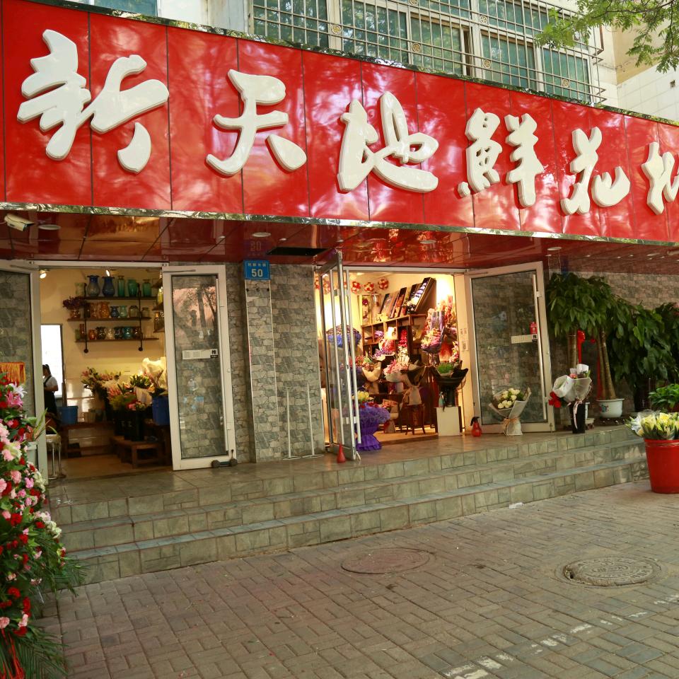 银川新天地鲜花绿植批发零售