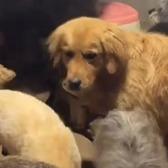 贰佰便利店小泽卓和生活号