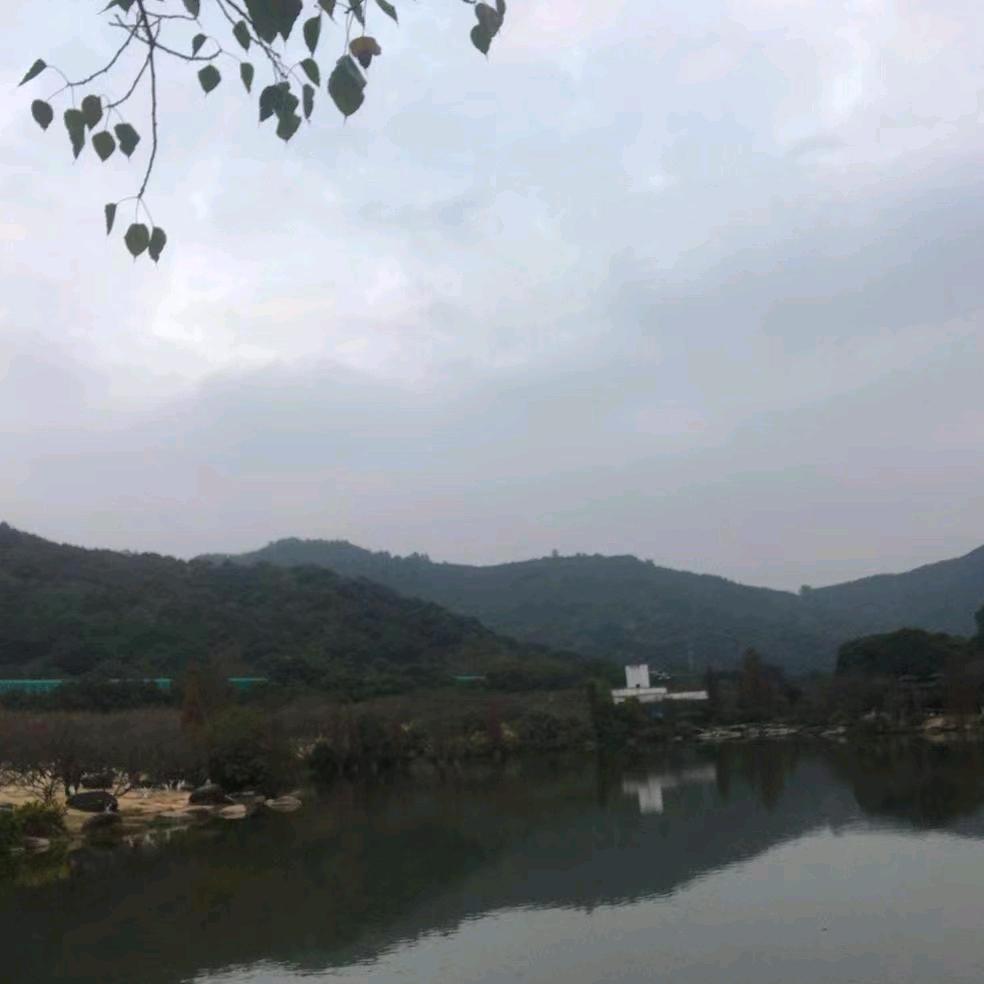 Yan