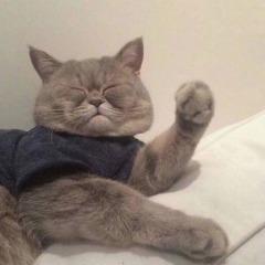 广州诚廷珍珍直播号