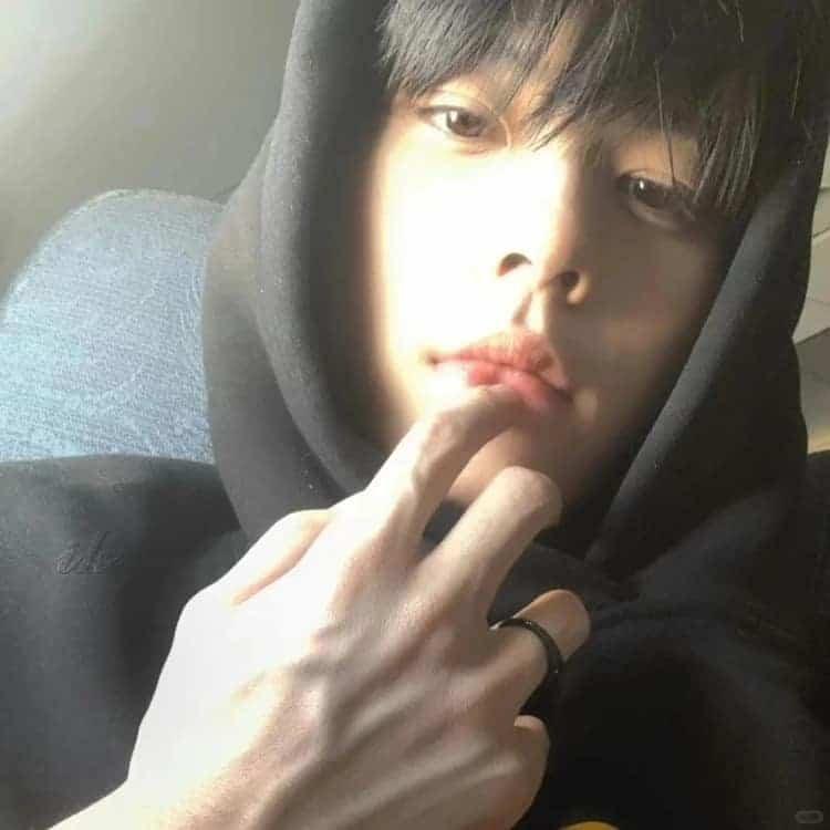 明亮晓晓直播号