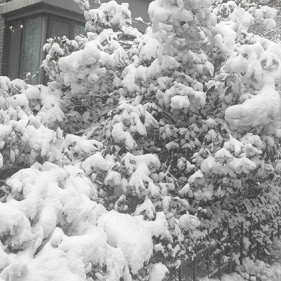 土右咨询运营号