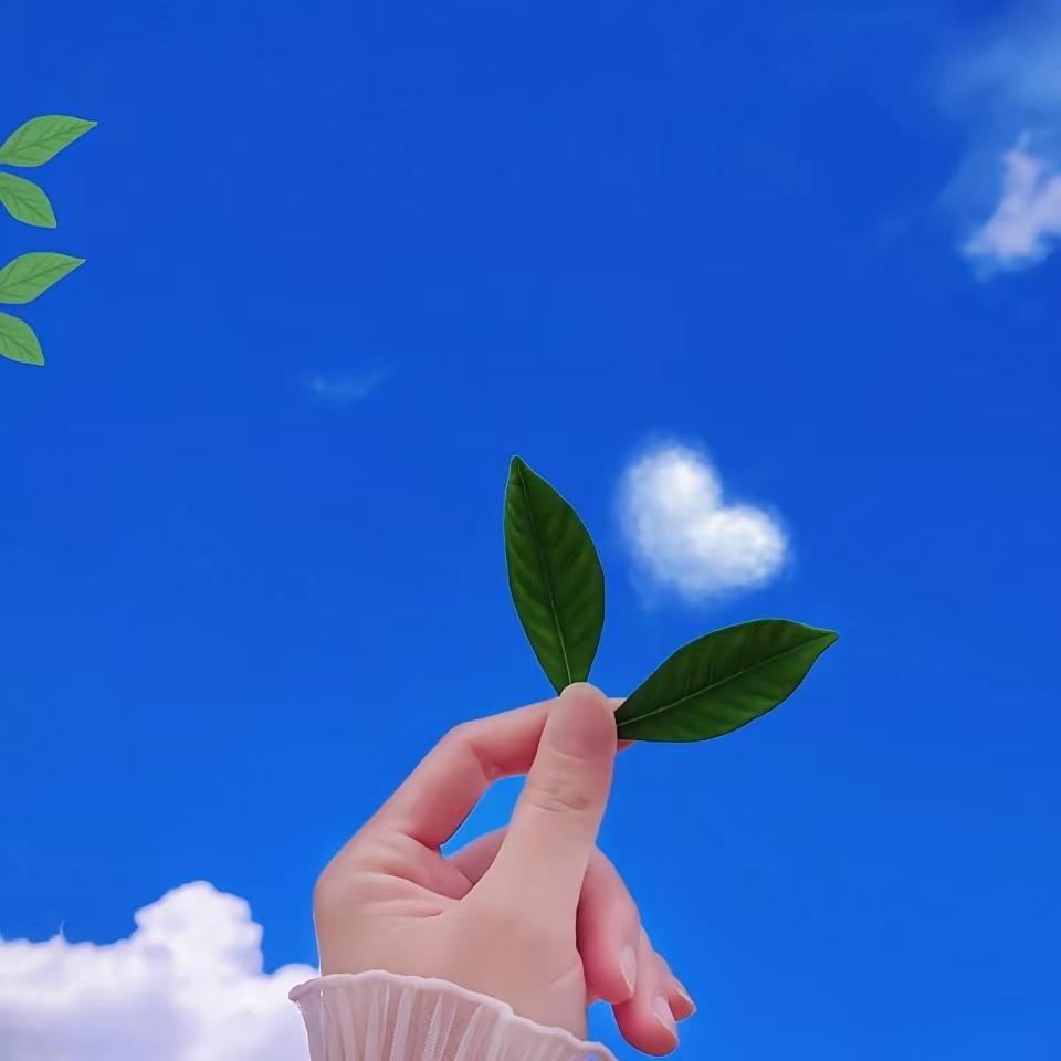 情凡鹏萌萌直播号