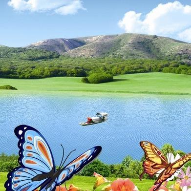 耀凤商贸啊唱直播号