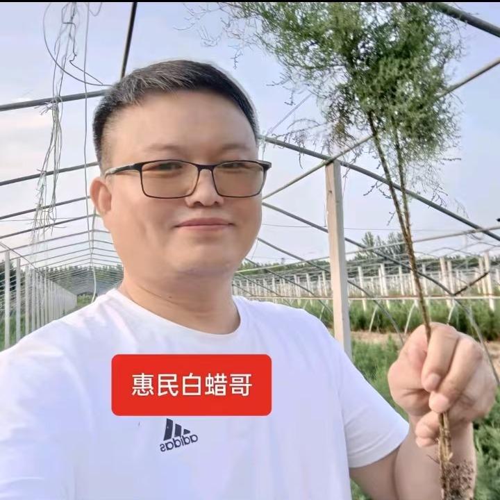 山东白蜡哥