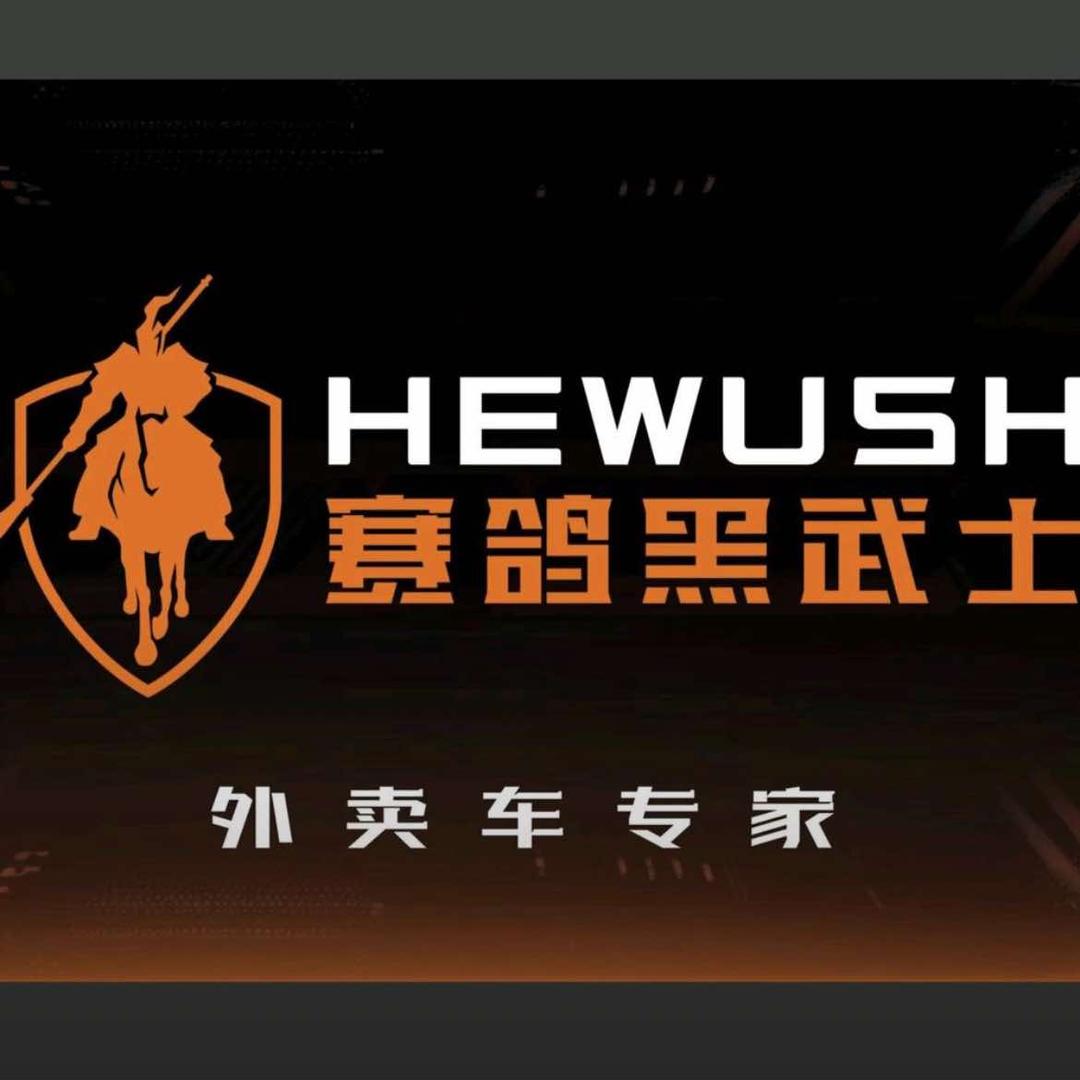 赛鸽黑武士(九电出行)