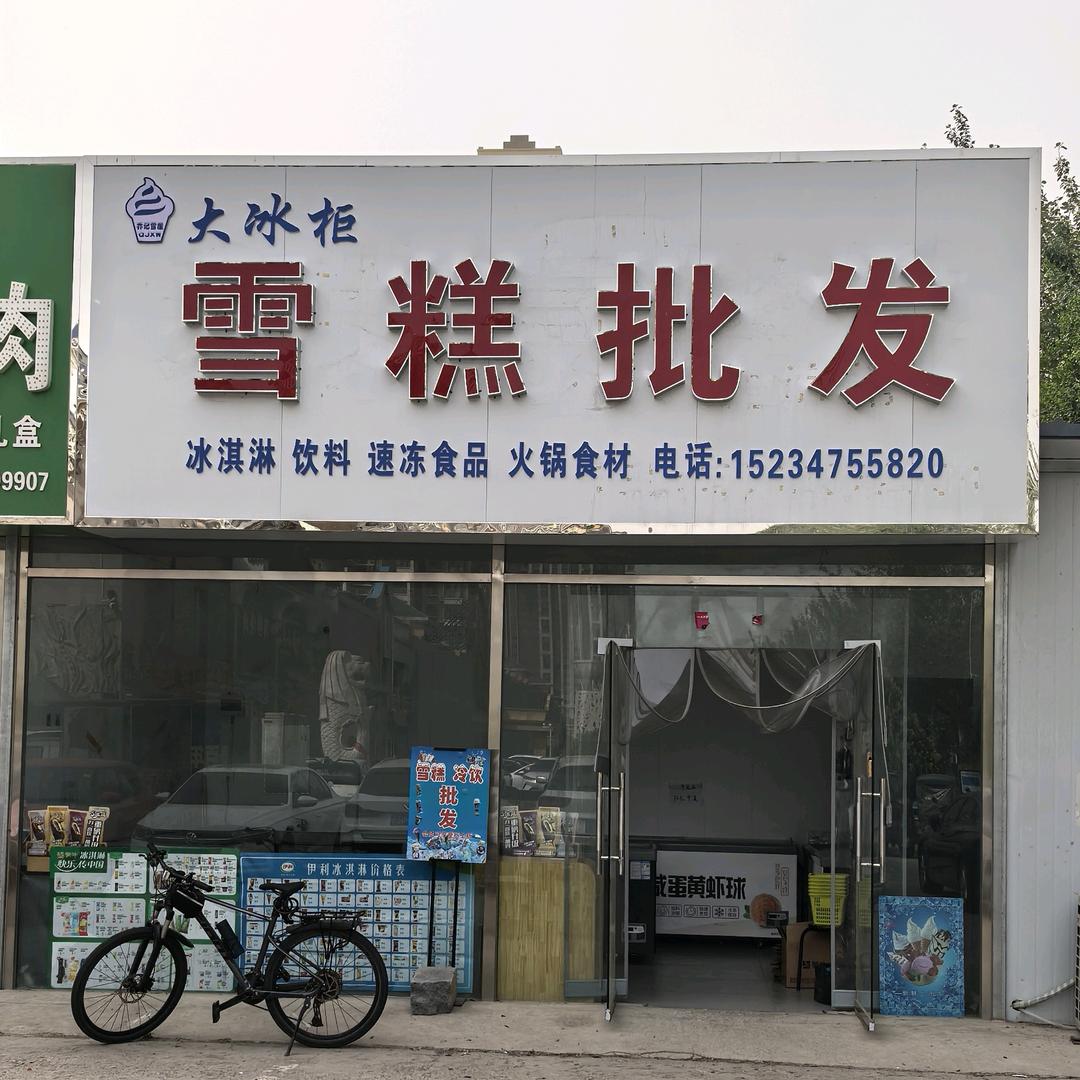 大冰柜 雪糕冻品批发