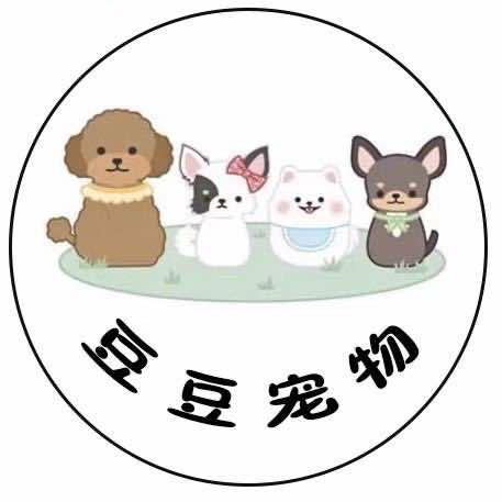 豆豆宠物用品严选