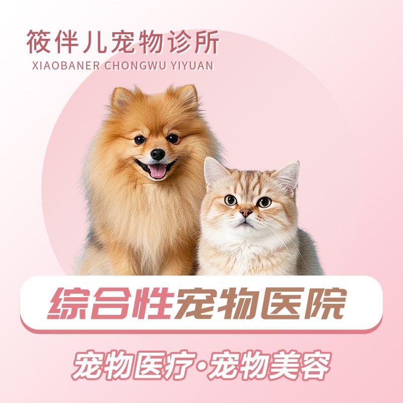 筱伴儿宠物诊所