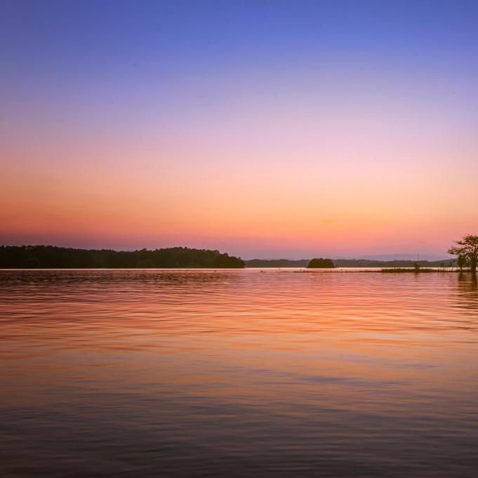 绿城超市(太学路店)芩利小建直播号