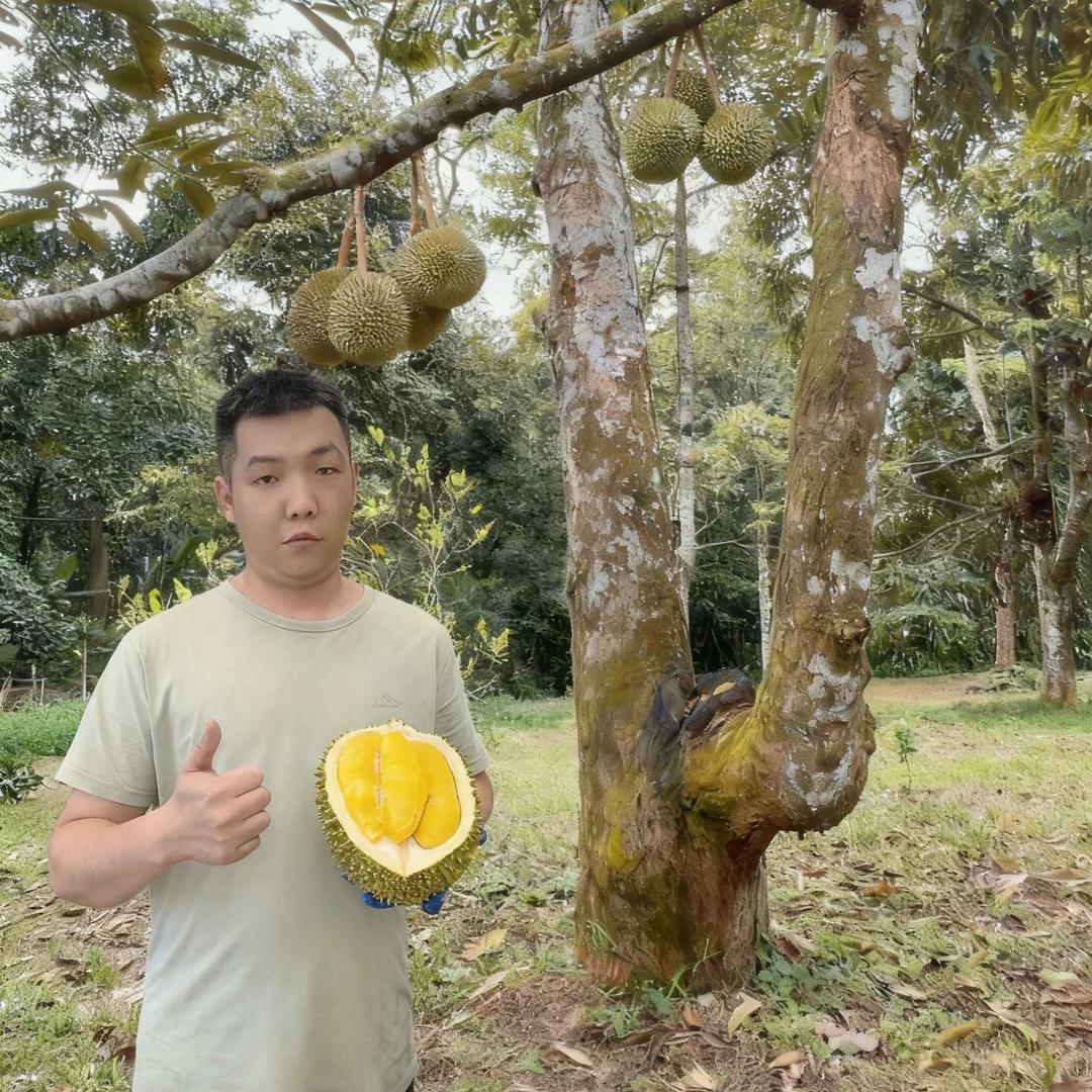 韶关明·今鲜优水果店（韶关朝阳店）