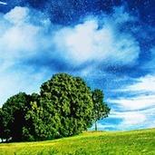 迎宾灯饰水暖1直播号