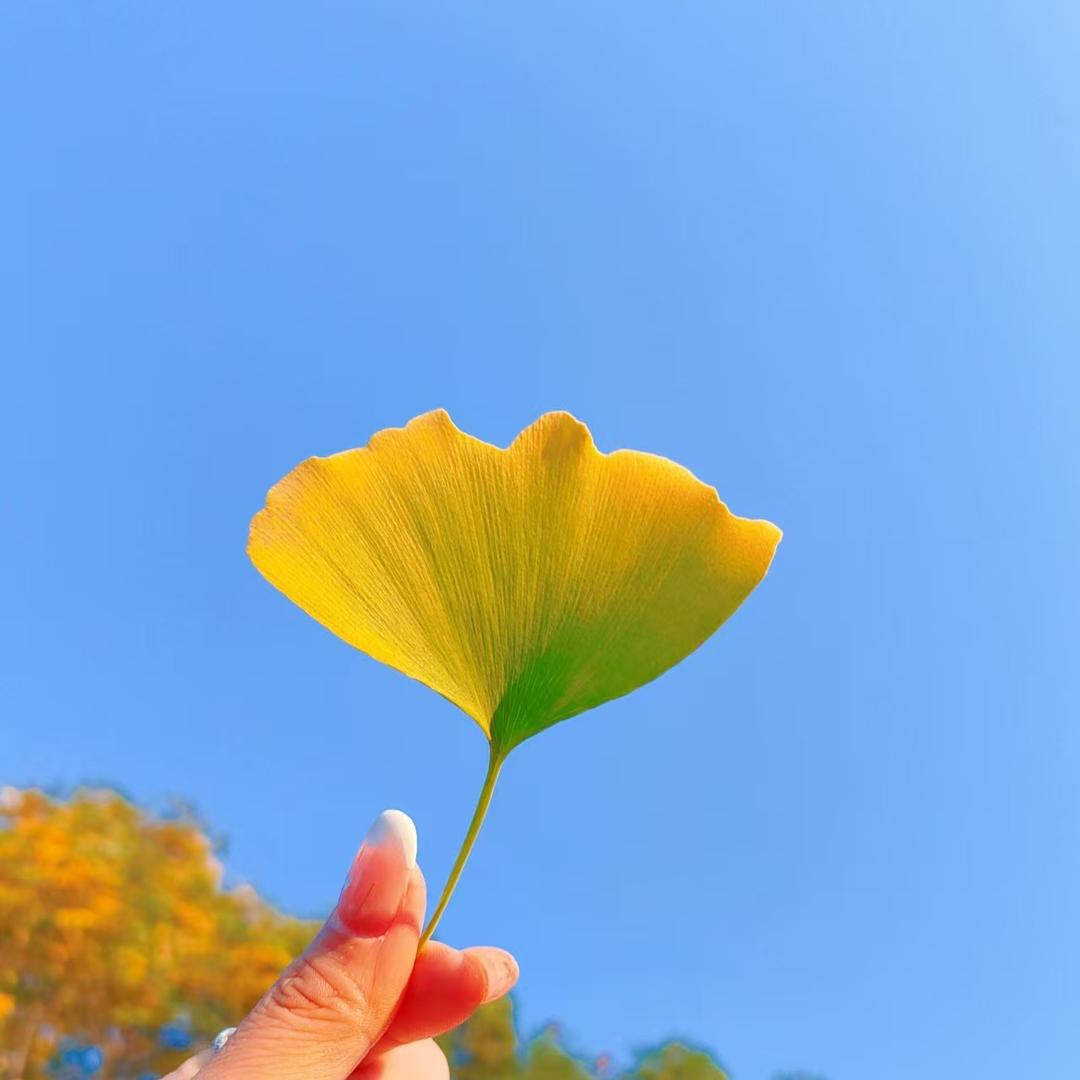 健管力康康直播号