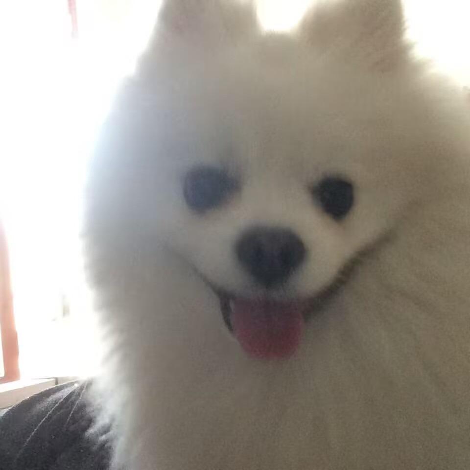 闪闪ps直播号