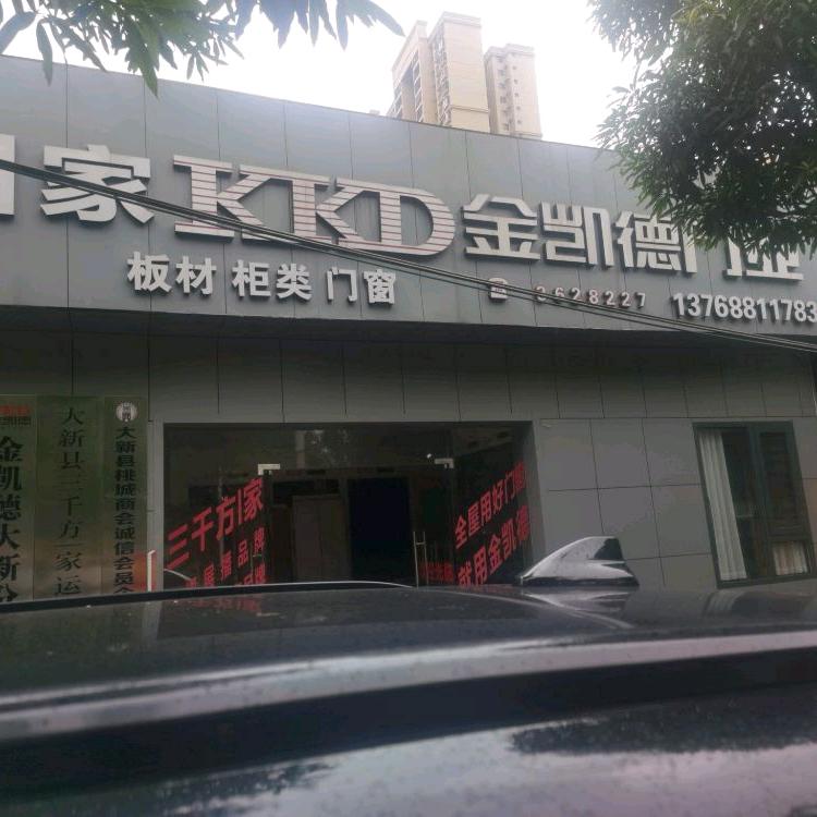 大新入户门｜木门｜门窗金凯德全屋用门