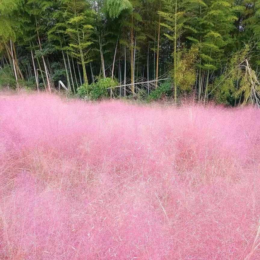 北方